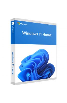 WINDOWS HOME 11 64 BITS ESD